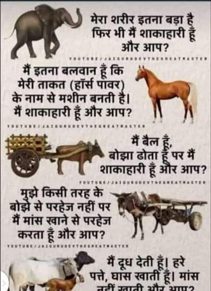 Vegetarian%20animals